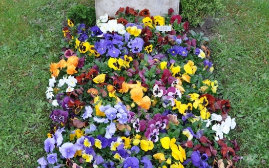 Familiengrab Frühling, Variante A