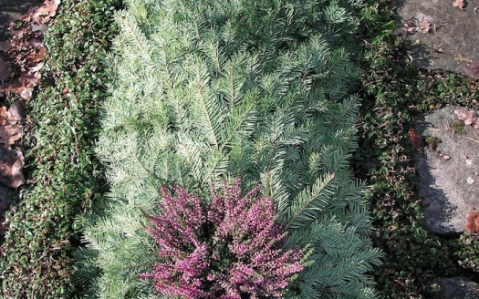 Familiengrab Winter, Variante A