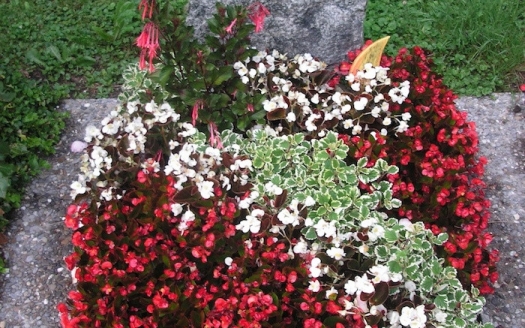 Familiengrab Sommer Variante B