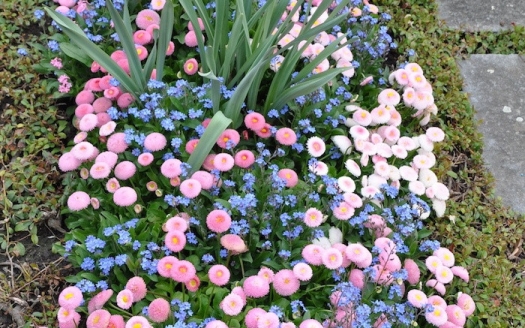 Sargreihengrab Frühling, Variante B