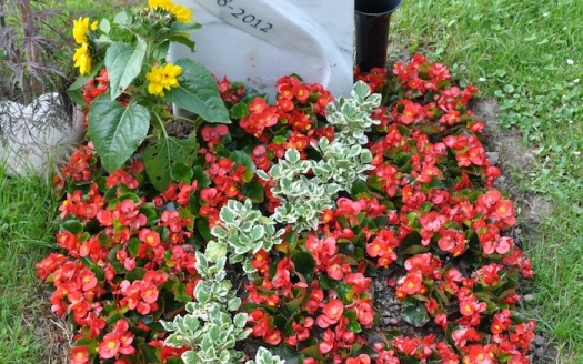 Urnengrab Sommer, Variante B