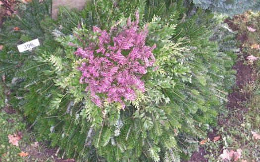 Urnengrab Winter, Variante B