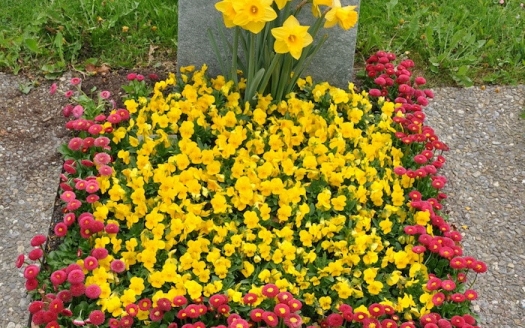 Sargreihengrab Frühling, Variante C