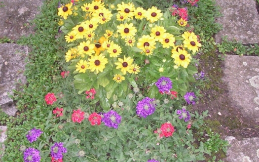 Sargreihengrab Sommer Variante C